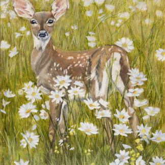 “Daisy”