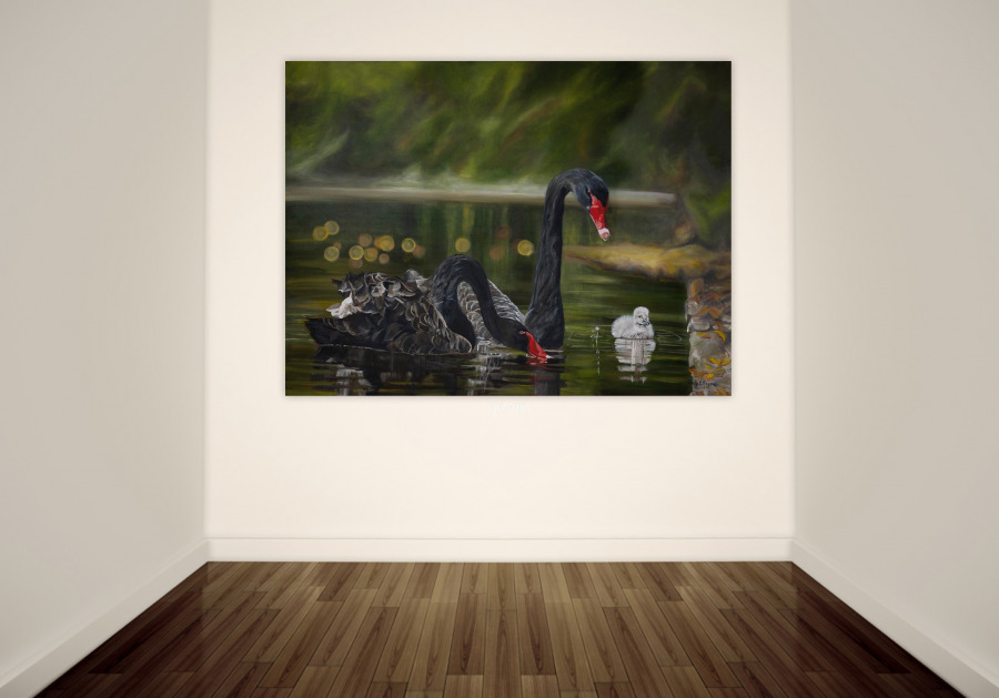 Black Swans - Image 2