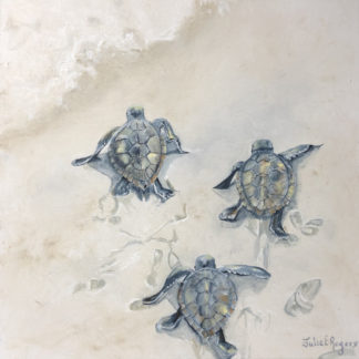 “Turtle Tracks"
