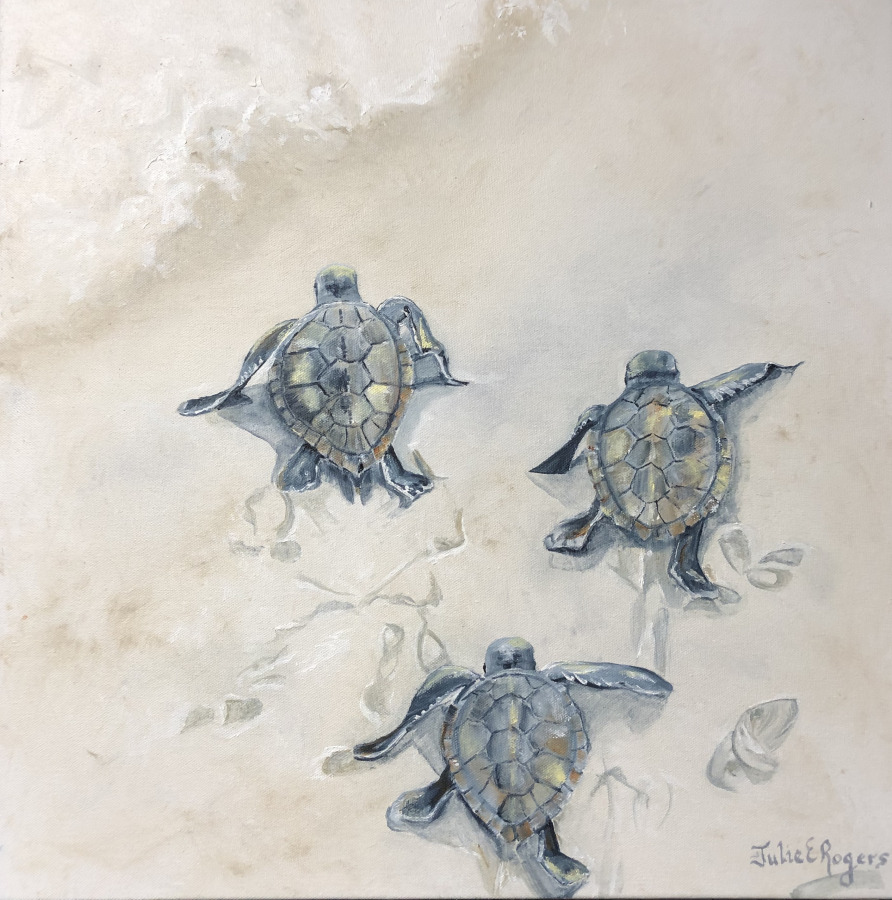 “Turtle Tracks"
