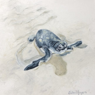 “Turtle Love"