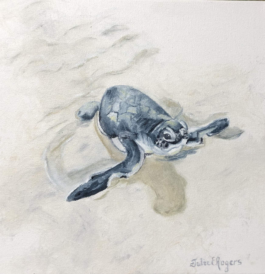 “Turtle Love"