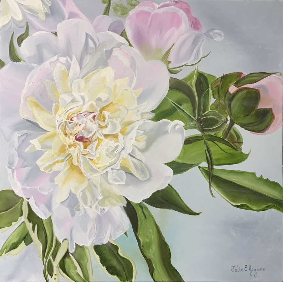 Peony in Pink