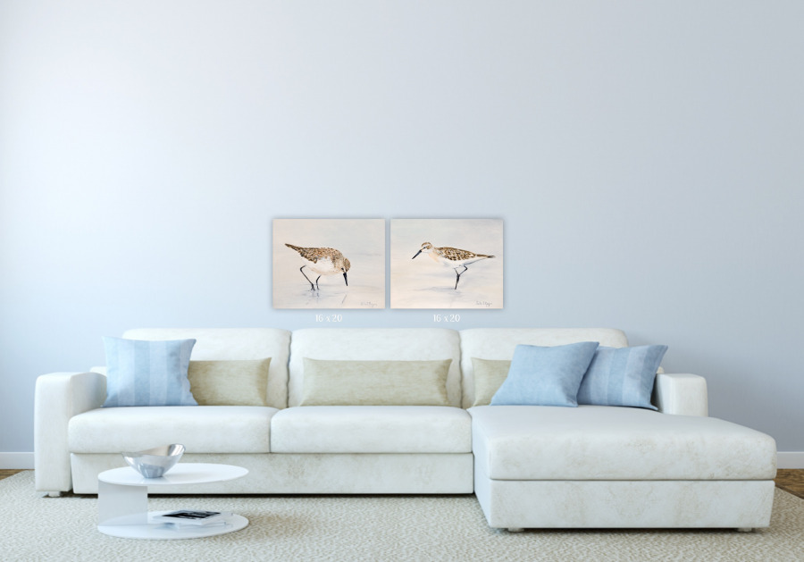 Sandpiper - Image 2