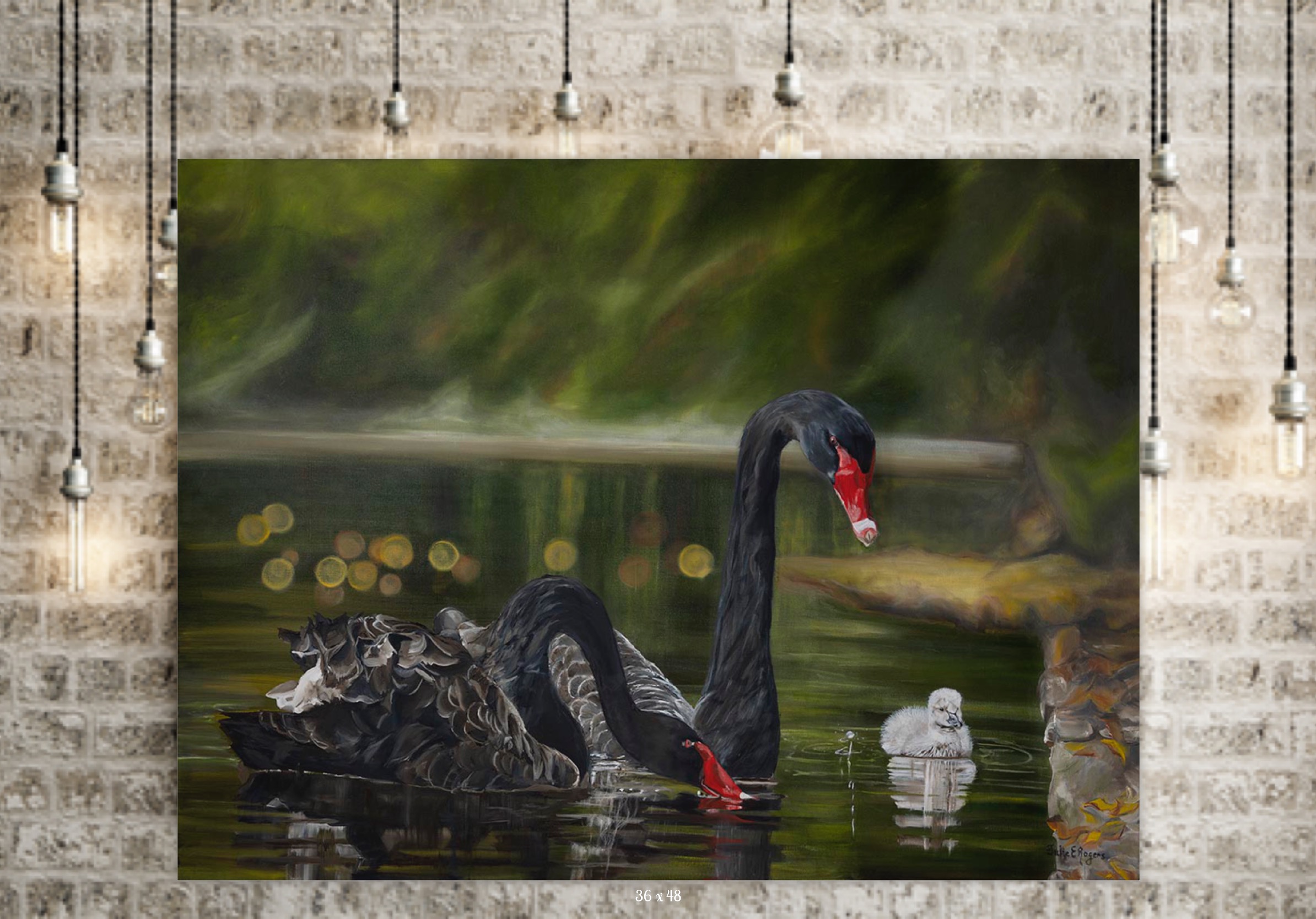 Black Swans - Image 3