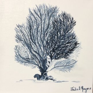 Sea Fan in Blue