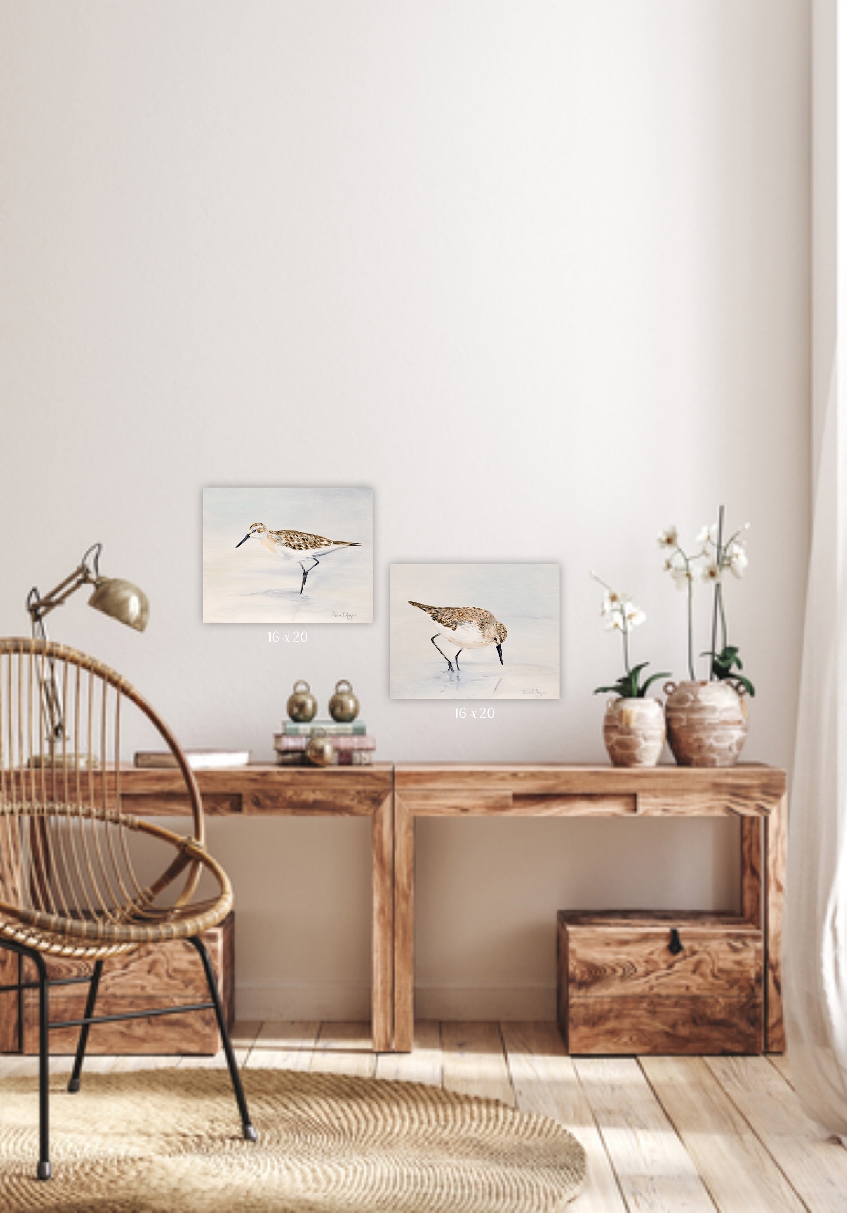 Sandpiper - Image 4