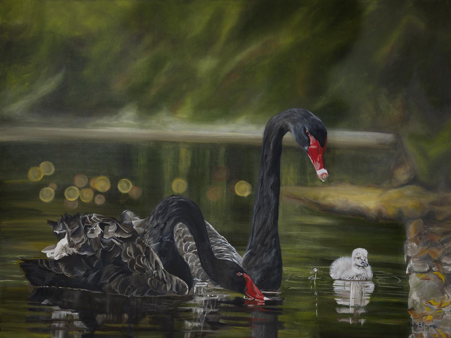 Black Swans