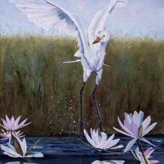 Heron Refections