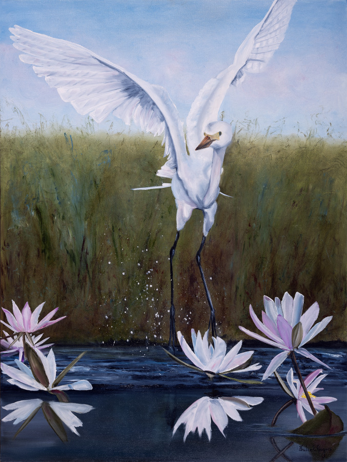 Heron Refections