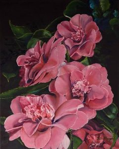 Camellia