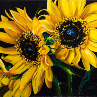 Sunflower Portrait #7