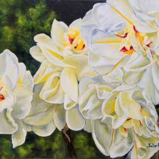 Petals