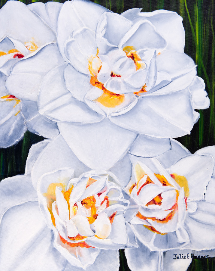 Daffodils in White