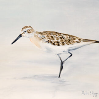 Sandpiper