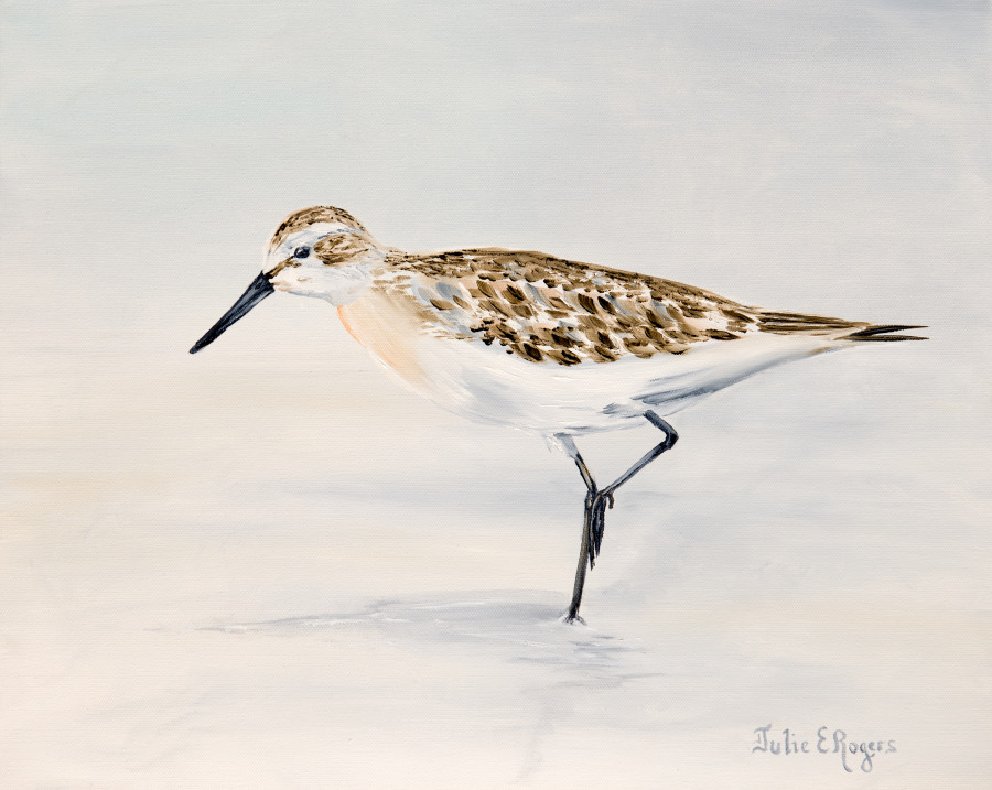 Sandpiper