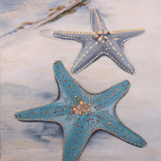 Starfish Duo