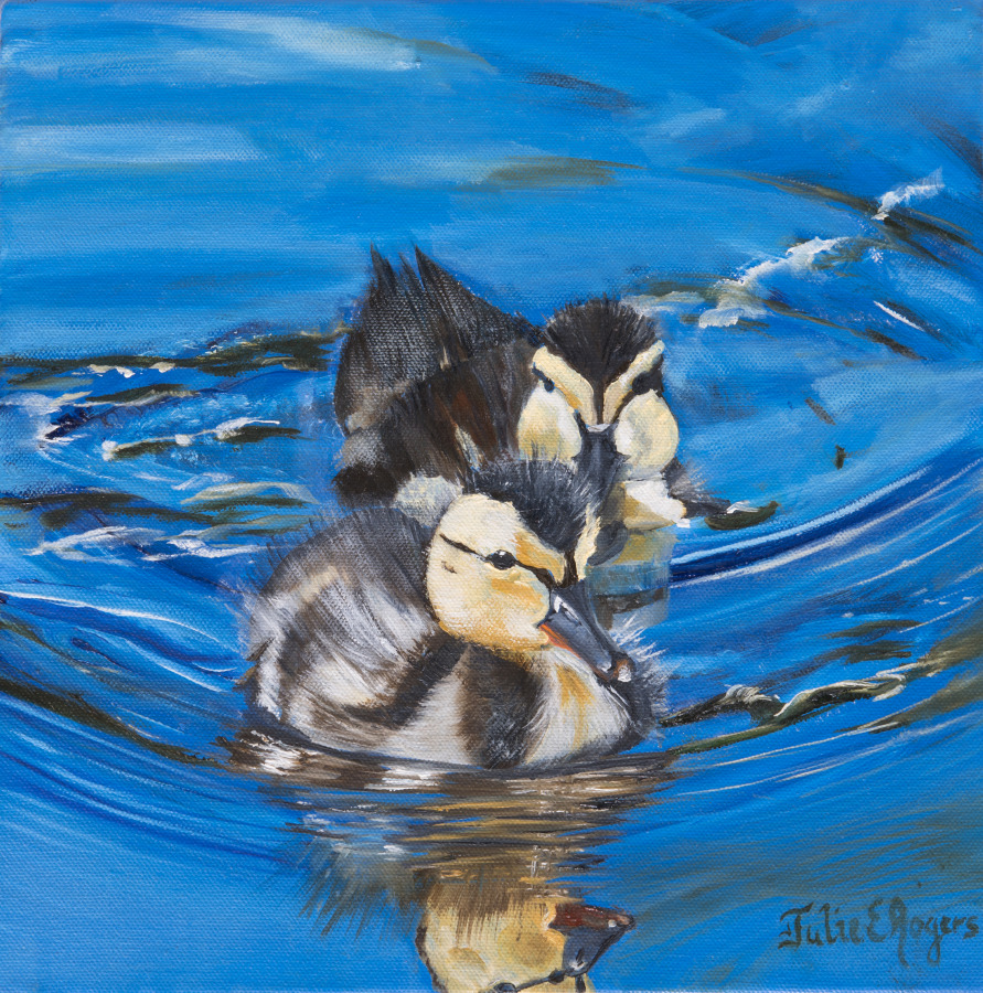 Duckling Duo