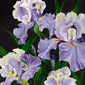 Iris
