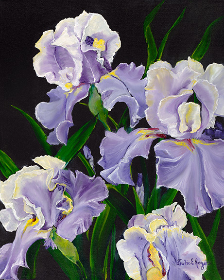 Iris