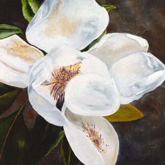 Magnolia