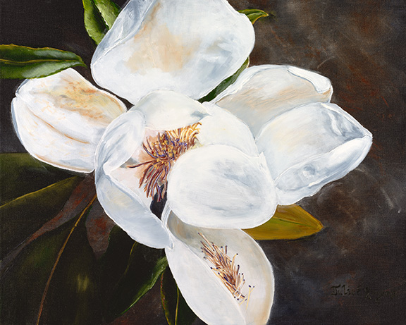 Magnolia
