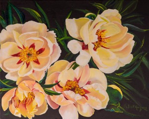 Peonies in White