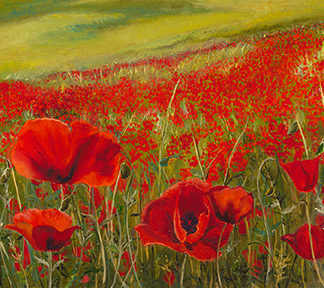 Poppies