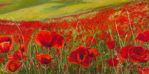 Poppies