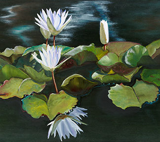 Lily Refections