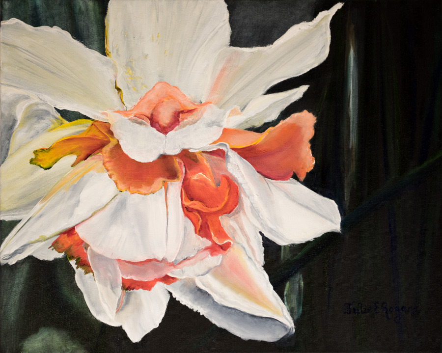 Daffodil Drama