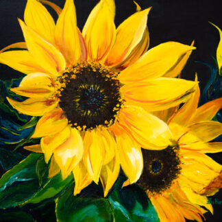 Sunflower Portrait #3