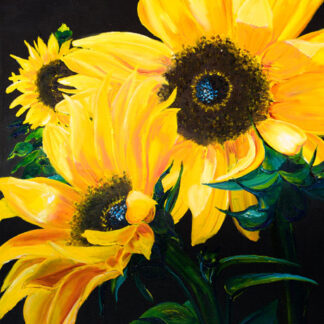 Sunflower Portrait # 4