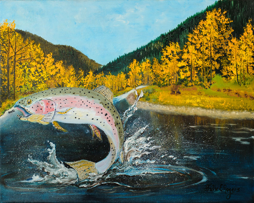 Rainbow Trout