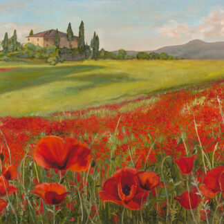 Tuscan Poppy Fields