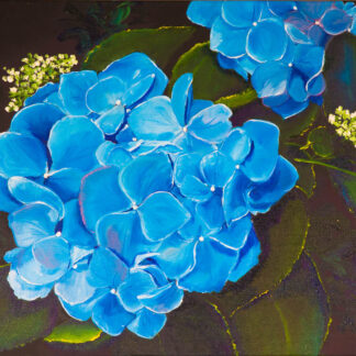 Hydrangea in Blue
