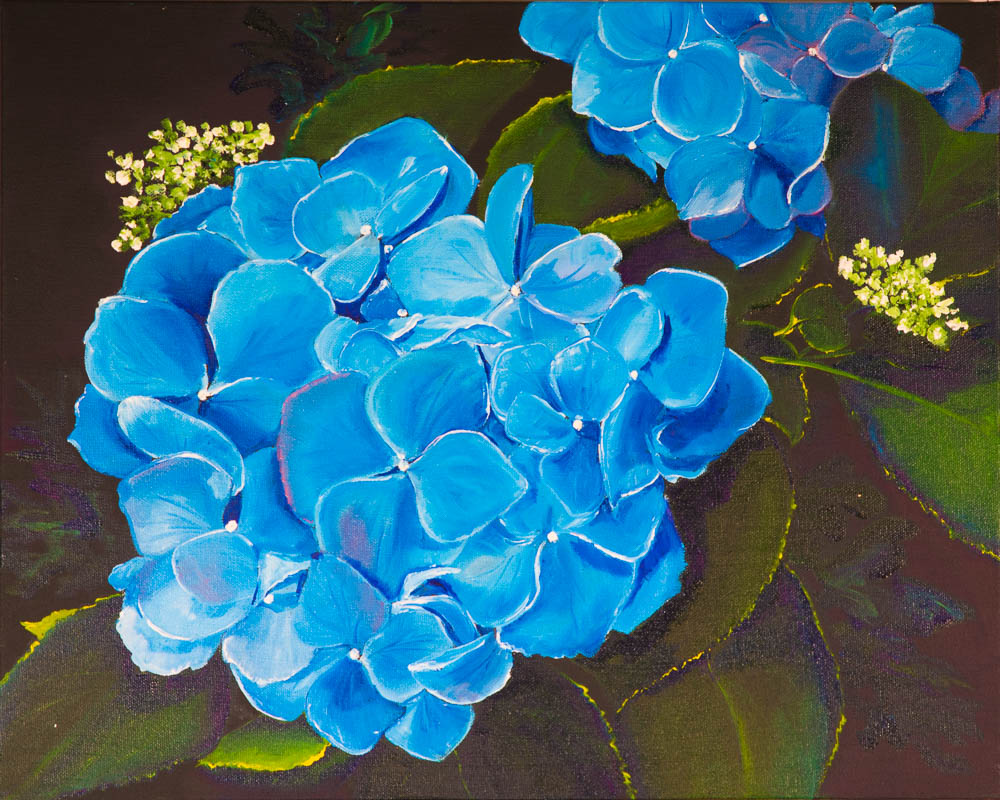Hydrangea in Blue