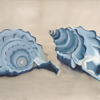 Sea Shells In Blue