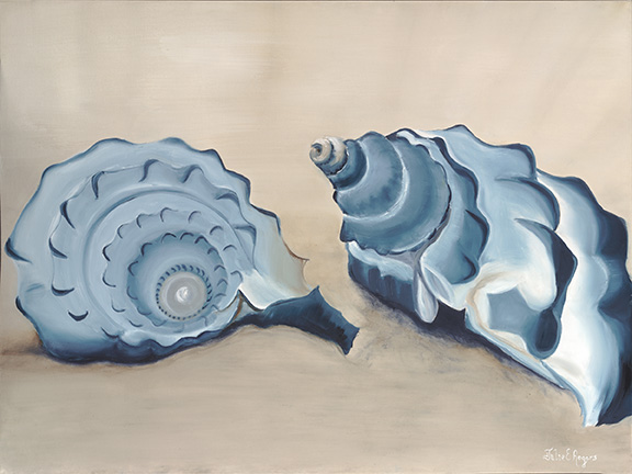 Sea Shells In Blue