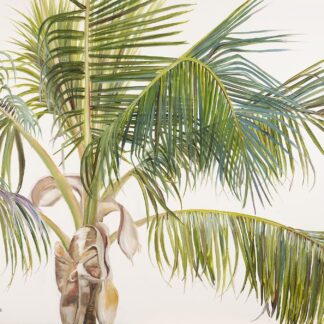 “Happy Palm”