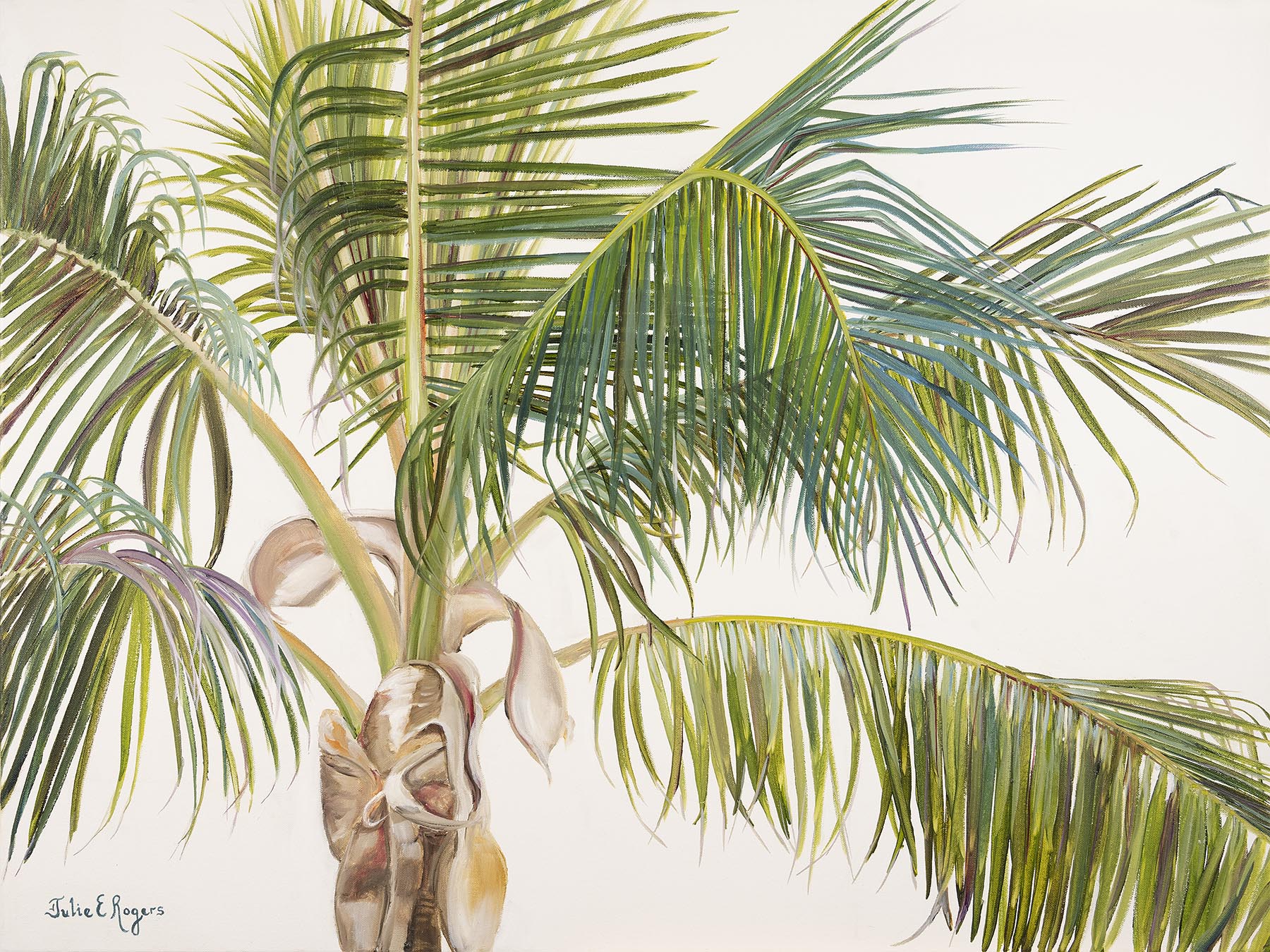 “Happy Palm”