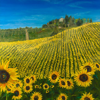 Tuscan Sunflowers