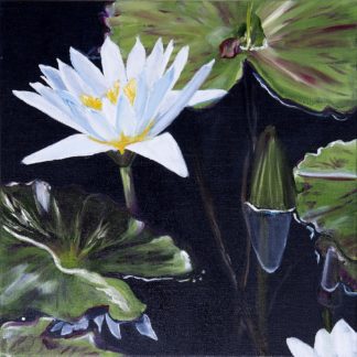 “Blue Beauty”