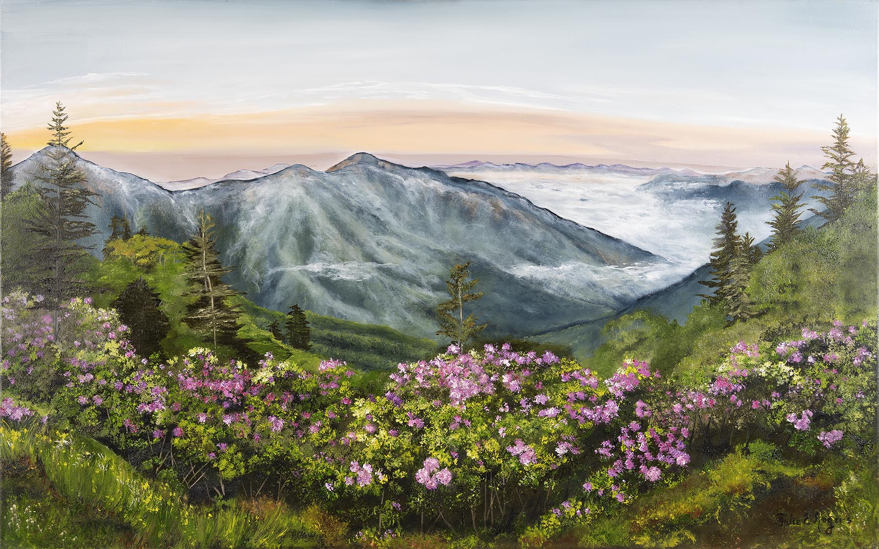 “Mountain Laurel Sunset”