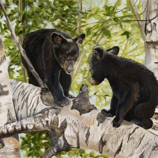 “Cub Crossing”