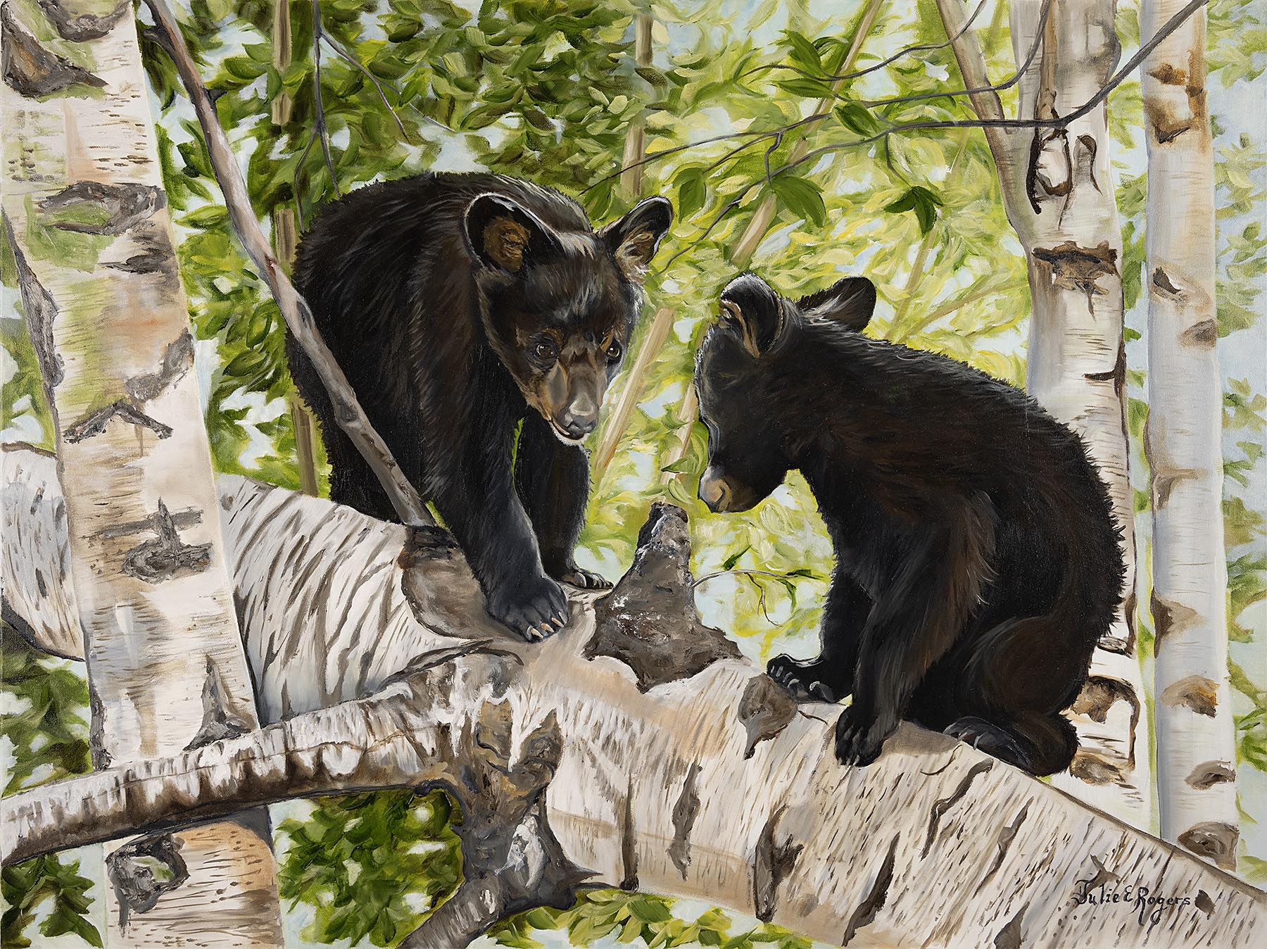 “Cub Crossing”