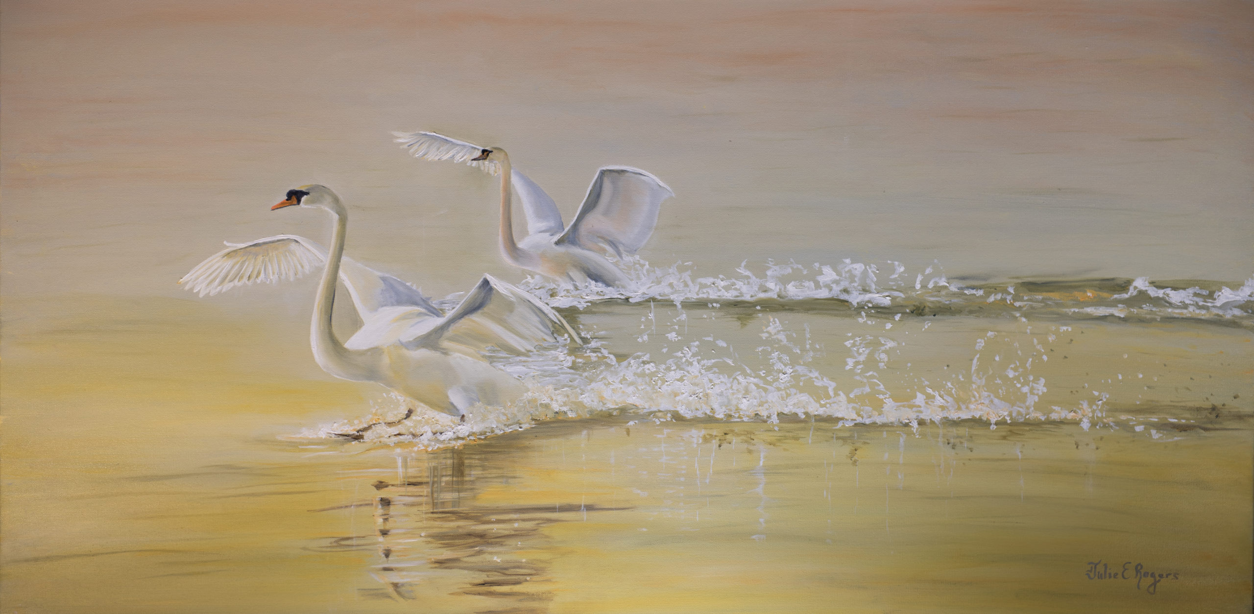 "Sunrise Landing"