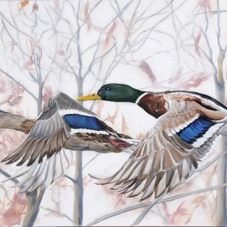 “In Flight”