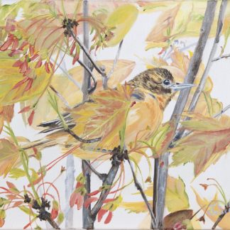 “Autumn Glory”