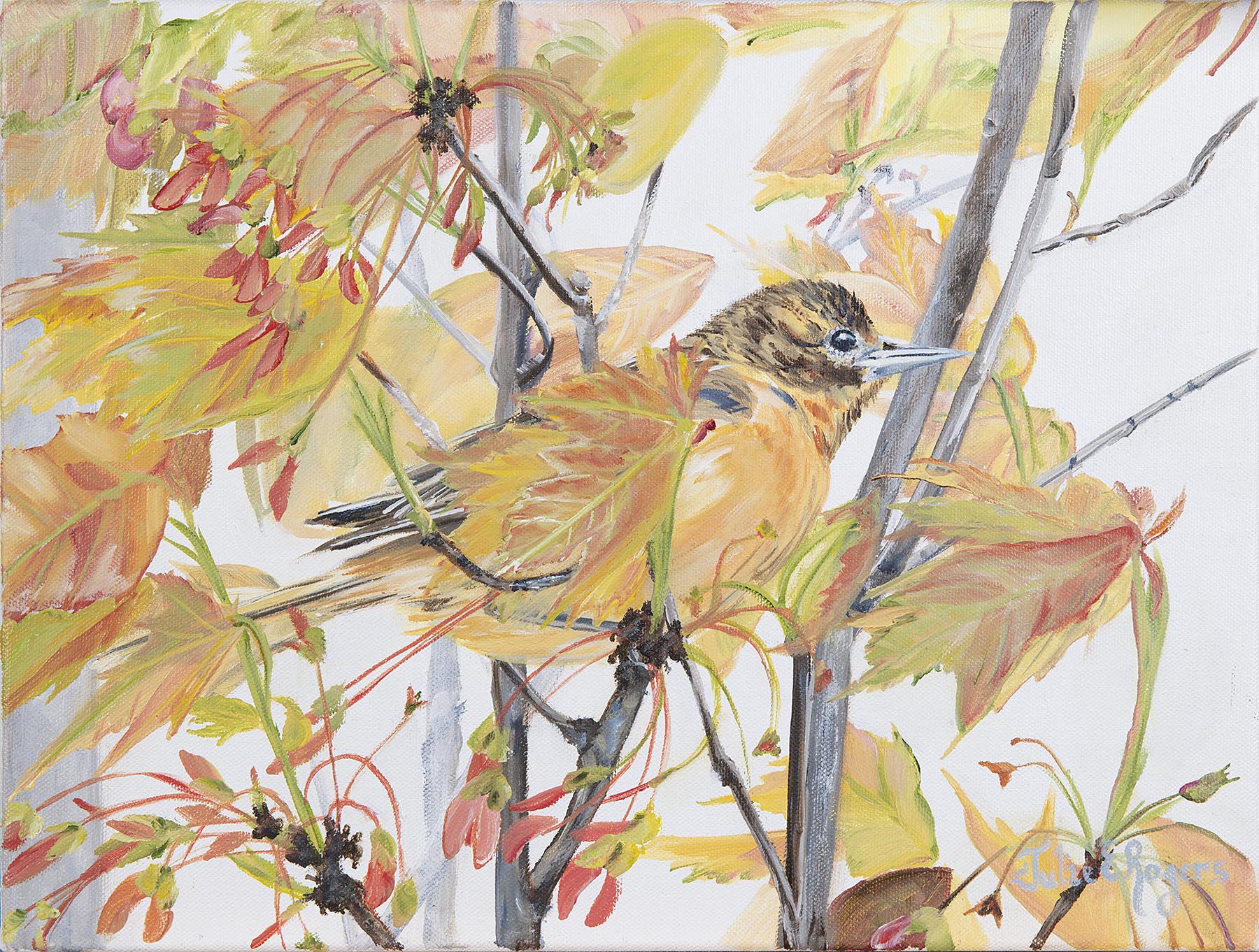 “Autumn Glory”